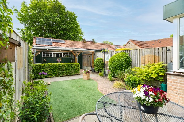 Tuin 2.jpg